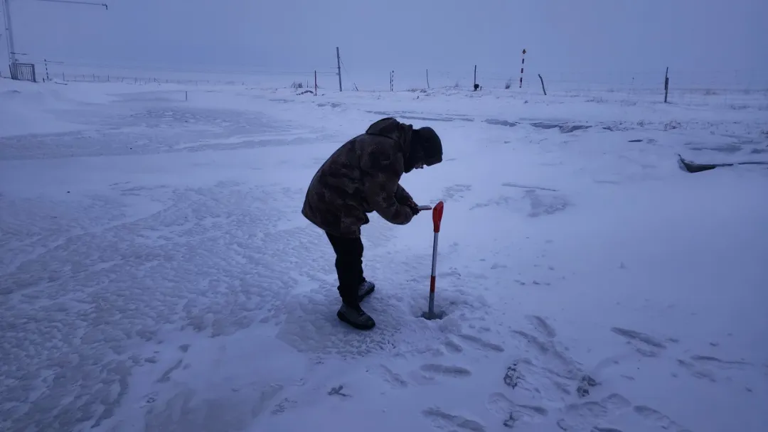 1718682293987728.jpg 87.3.jpg