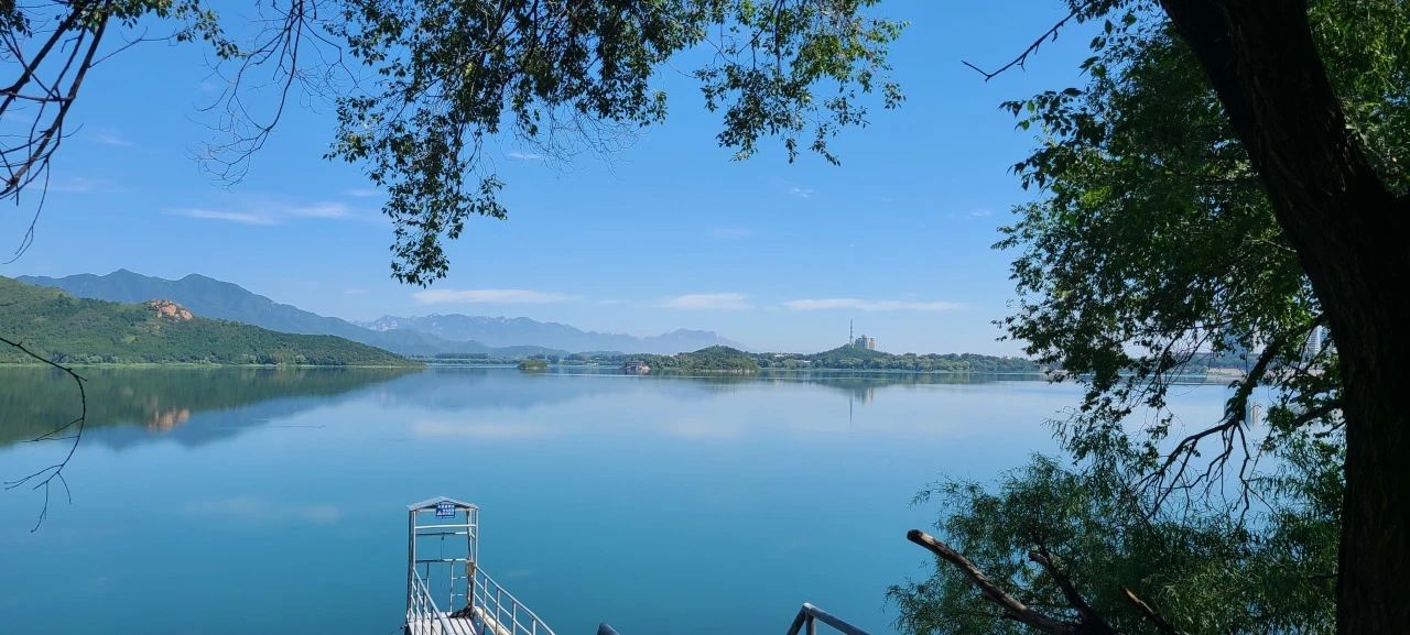 1718682365999450.jpg 87.8.jpg