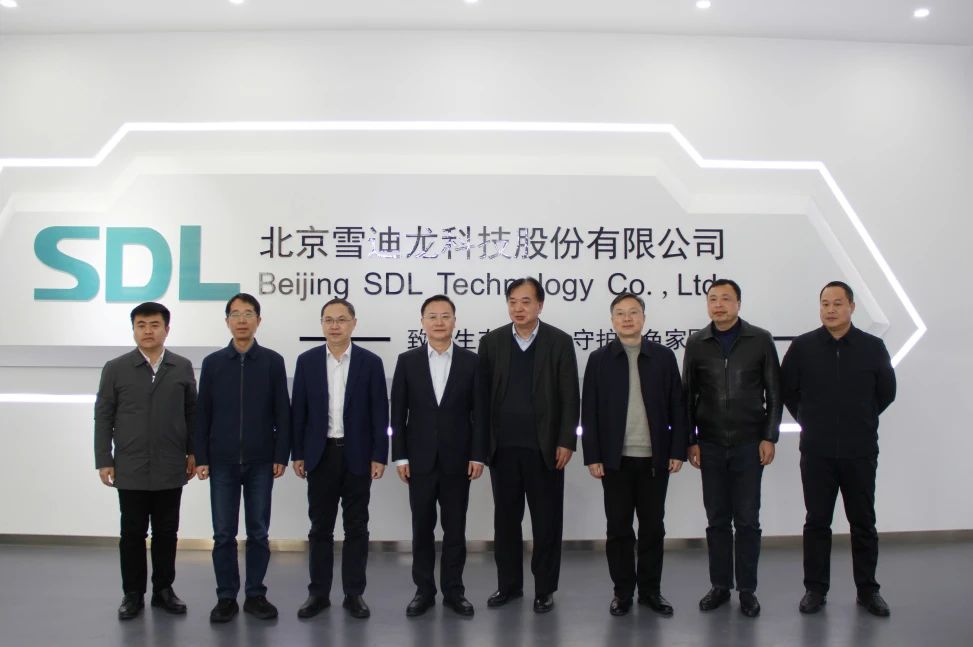 1746510562510618.jpg D1.jpg